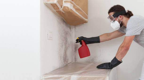 Attic Mold Remediation treatment on roof deck in Itasca